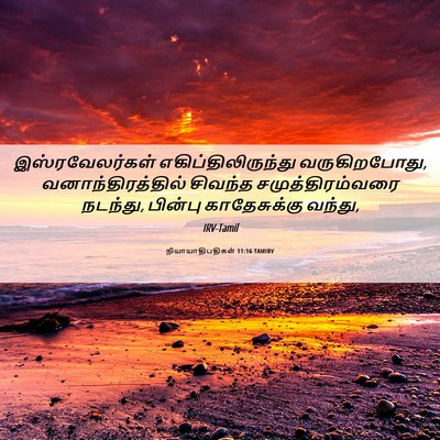 Picture 06 - நியாயாதிபதிகள் 11:16 TAMIRV - இஸ்ரவேலர்கள் - Bible Verse Picture