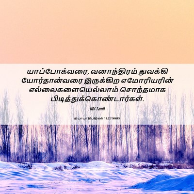 Picture 06 - நியாயாதிபதிகள் 11:22 TAMIRV - யாப்போக்வரை, - Bible Verse Picture