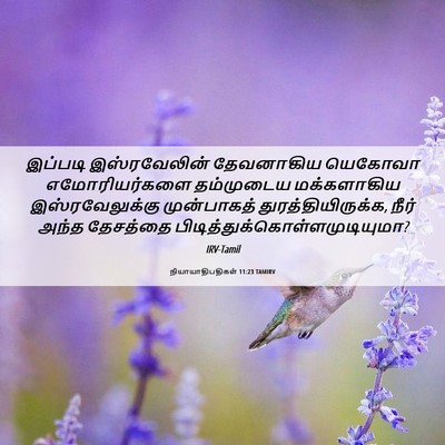 Picture 06 - நியாயாதிபதிகள் 11:23 TAMIRV - இப்படி இஸ்ரவேலின் - Bible Verse Picture