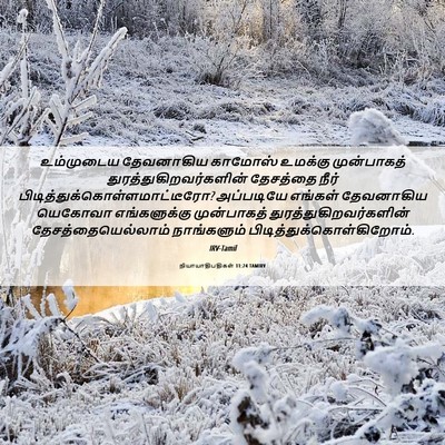 Picture 06 - நியாயாதிபதிகள் 11:24 TAMIRV - உம்முடைய தேவனாகிய - Bible Verse Picture