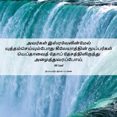 Picture 06 - நியாயாதிபதிகள் 11:5 TAMIRV - அவர்கள் - Bible Verse Picture