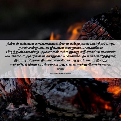 Picture 06 - நியாயாதிபதிகள் 12:3 TAMIRV - நீங்கள் என்னை - Bible Verse Picture
