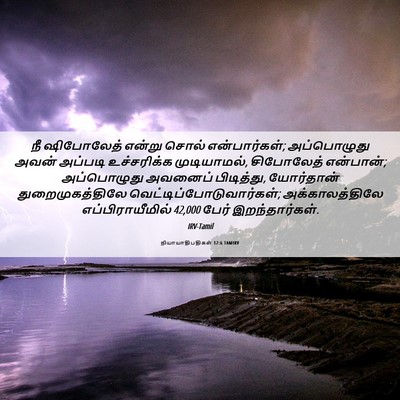 Picture 06 - நியாயாதிபதிகள் 12:6 TAMIRV - நீ ஷிபோலேத் என்று - Bible Verse Picture
