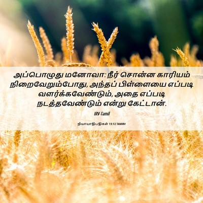 Picture 06 - நியாயாதிபதிகள் 13:12 TAMIRV - அப்பொழுது மனோவா: - Bible Verse Picture