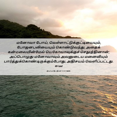 Picture 06 - நியாயாதிபதிகள் 13:19 TAMIRV - மனோவா போய், - Bible Verse Picture