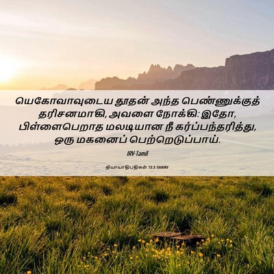 Picture 06 - நியாயாதிபதிகள் 13:3 TAMIRV - யெகோவாவுடைய தூதன் - Bible Verse Picture