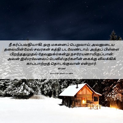 Picture 06 - நியாயாதிபதிகள் 13:5 TAMIRV - நீ கர்ப்பவதியாகி, - Bible Verse Picture