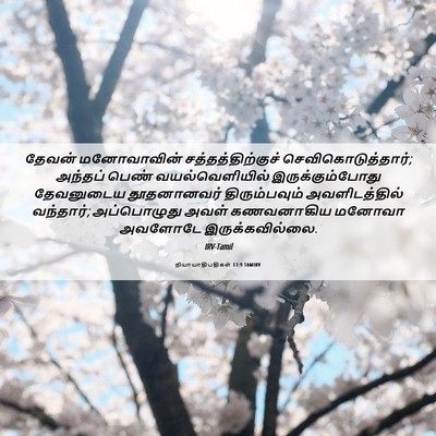 Picture 06 - நியாயாதிபதிகள் 13:9 TAMIRV - தேவன் மனோவாவின் - Bible Verse Picture