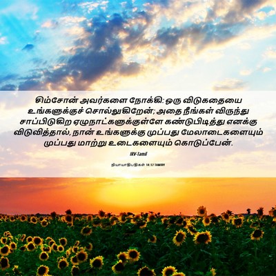Picture 06 - நியாயாதிபதிகள் 14:12 TAMIRV - சிம்சோன் அவர்களை - Bible Verse Picture
