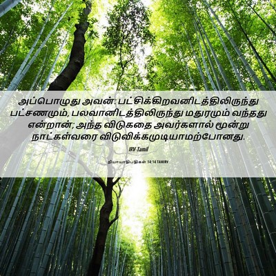 Picture 06 - நியாயாதிபதிகள் 14:14 TAMIRV - அப்பொழுது அவன்: - Bible Verse Picture
