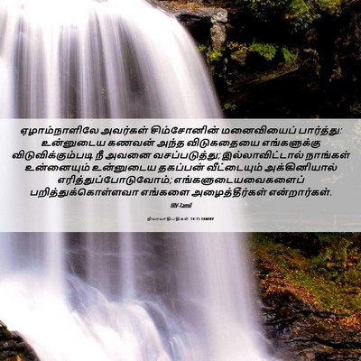 Picture 06 - நியாயாதிபதிகள் 14:15 TAMIRV - ஏழாம்நாளிலே - Bible Verse Picture