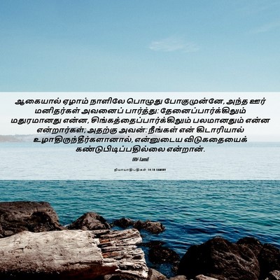 Picture 06 - நியாயாதிபதிகள் 14:18 TAMIRV - ஆகையால் ஏழாம் - Bible Verse Picture