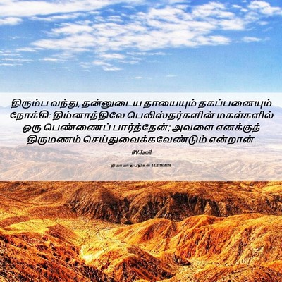 Picture 06 - நியாயாதிபதிகள் 14:2 TAMIRV - திரும்ப வந்து, - Bible Verse Picture