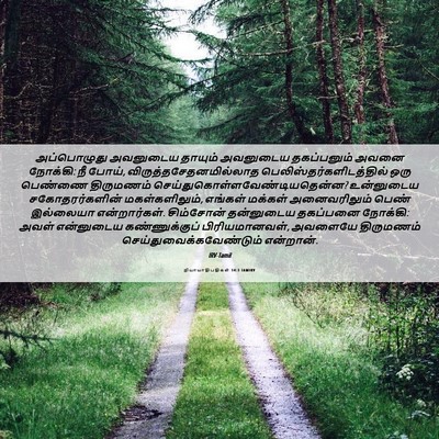 Picture 06 - நியாயாதிபதிகள் 14:3 TAMIRV - அப்பொழுது அவனுடைய - Bible Verse Picture