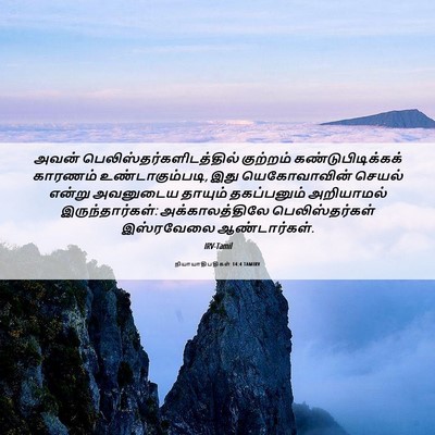 Picture 06 - நியாயாதிபதிகள் 14:4 TAMIRV - அவன் - Bible Verse Picture