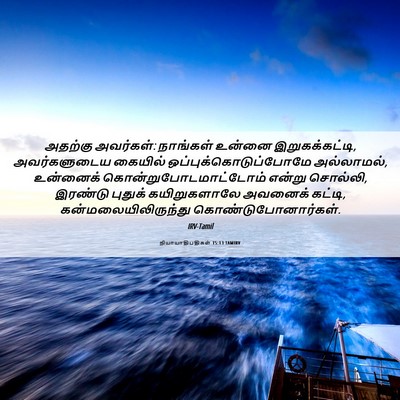 Picture 06 - நியாயாதிபதிகள் 15:13 TAMIRV - அதற்கு அவர்கள்: - Bible Verse Picture