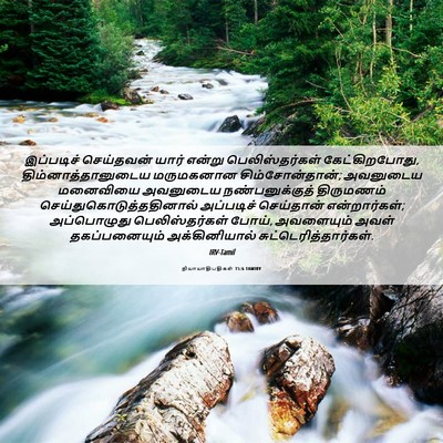 Picture 06 - நியாயாதிபதிகள் 15:6 TAMIRV - இப்படிச் செய்தவன் - Bible Verse Picture