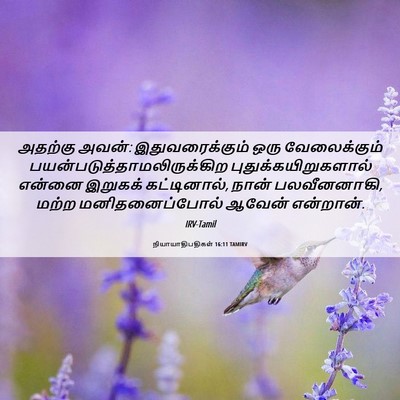 Picture 06 - நியாயாதிபதிகள் 16:11 TAMIRV - அதற்கு அவன்: - Bible Verse Picture