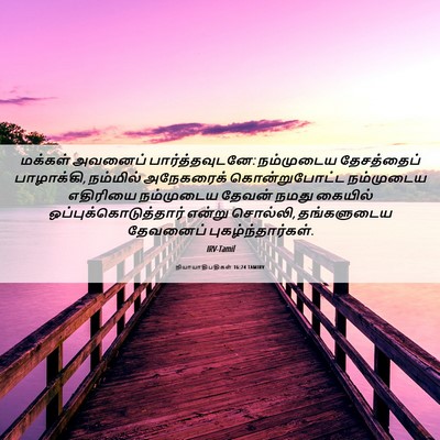Picture 06 - நியாயாதிபதிகள் 16:24 TAMIRV - மக்கள் அவனைப் - Bible Verse Picture