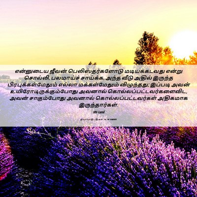 Picture 06 - நியாயாதிபதிகள் 16:30 TAMIRV - என்னுடைய ஜீவன் - Bible Verse Picture