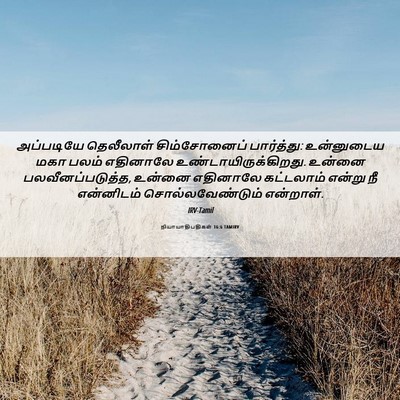 Picture 06 - நியாயாதிபதிகள் 16:6 TAMIRV - அப்படியே தெலீலாள் - Bible Verse Picture