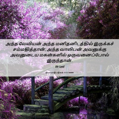 Picture 06 - நியாயாதிபதிகள் 17:11 TAMIRV - அந்த லேவியன் அந்த - Bible Verse Picture