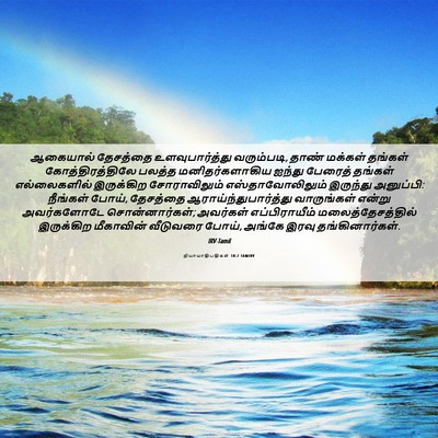 Picture 06 - நியாயாதிபதிகள் 18:2 TAMIRV - ஆகையால் தேசத்தை - Bible Verse Picture