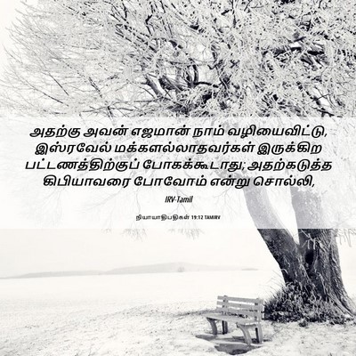 Picture 06 - நியாயாதிபதிகள் 19:12 TAMIRV - அதற்கு அவன் - Bible Verse Picture