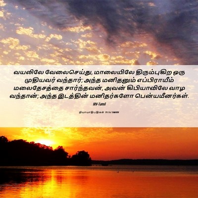 Picture 06 - நியாயாதிபதிகள் 19:16 TAMIRV - வயலிலே - Bible Verse Picture