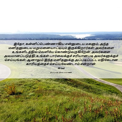 Picture 06 - நியாயாதிபதிகள் 19:24 TAMIRV - இதோ, - Bible Verse Picture