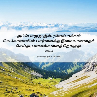 Picture 06 - நியாயாதிபதிகள் 2:11 TAMIRV - அப்பொழுது - Bible Verse Picture