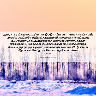 Picture 06 - நியாயாதிபதிகள் 2:17 TAMIRV - அவர்கள் தங்களுடைய - Bible Verse Picture