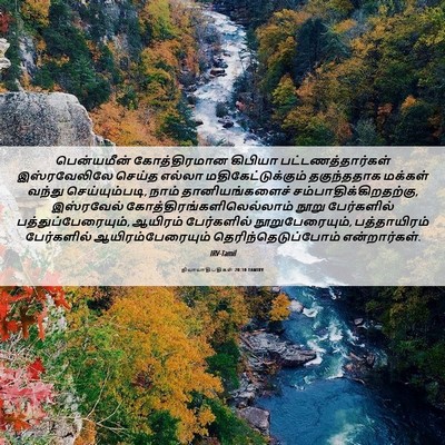 Picture 06 - நியாயாதிபதிகள் 20:10 TAMIRV - பென்யமீன் - Bible Verse Picture