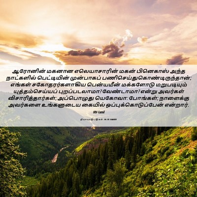 Picture 06 - நியாயாதிபதிகள் 20:28 TAMIRV - ஆரோனின் மகனான - Bible Verse Picture