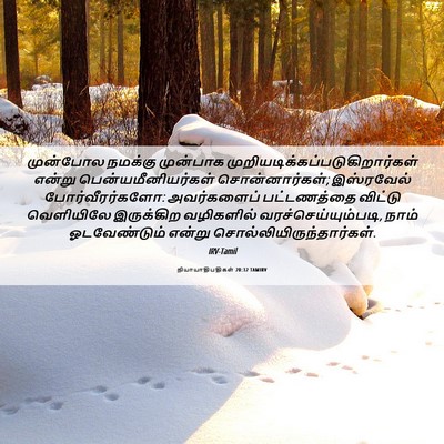 Picture 06 - நியாயாதிபதிகள் 20:32 TAMIRV - முன்போல நமக்கு - Bible Verse Picture