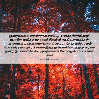 Picture 06 - நியாயாதிபதிகள் 20:42 TAMIRV - இஸ்ரவேல் - Bible Verse Picture