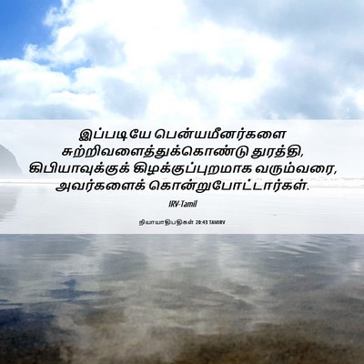 Picture 06 - நியாயாதிபதிகள் 20:43 TAMIRV - இப்படியே - Bible Verse Picture