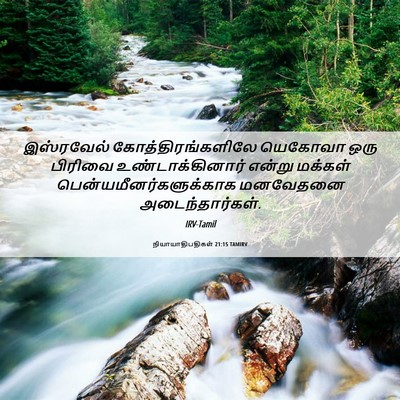 Picture 06 - நியாயாதிபதிகள் 21:15 TAMIRV - இஸ்ரவேல் - Bible Verse Picture