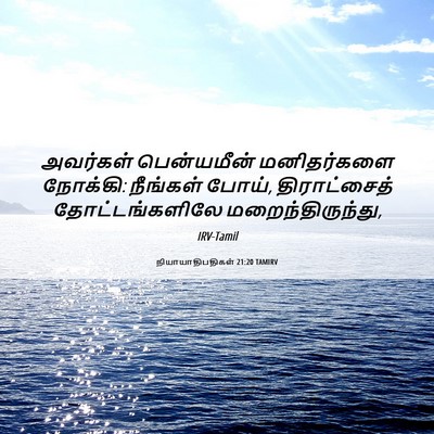 Picture 06 - நியாயாதிபதிகள் 21:20 TAMIRV - அவர்கள் பென்யமீன் - Bible Verse Picture