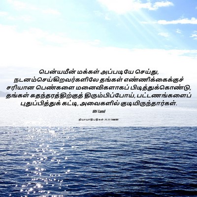 Picture 06 - நியாயாதிபதிகள் 21:23 TAMIRV - பென்யமீன் மக்கள் - Bible Verse Picture