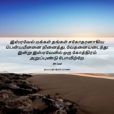 Picture 06 - நியாயாதிபதிகள் 21:6 TAMIRV - இஸ்ரவேல் மக்கள் - Bible Verse Picture