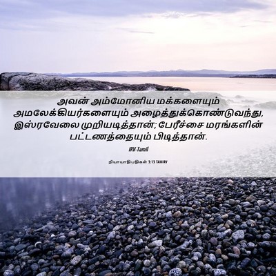 Picture 06 - நியாயாதிபதிகள் 3:13 TAMIRV - அவன் அம்மோனிய - Bible Verse Picture