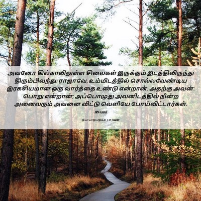 Picture 06 - நியாயாதிபதிகள் 3:19 TAMIRV - அவனோ - Bible Verse Picture