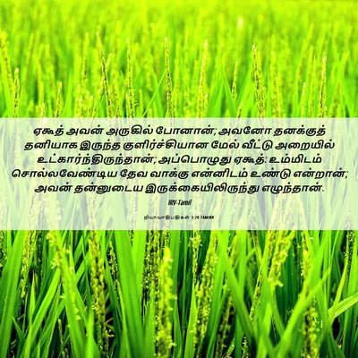 Picture 06 - நியாயாதிபதிகள் 3:20 TAMIRV - ஏகூத் அவன் - Bible Verse Picture