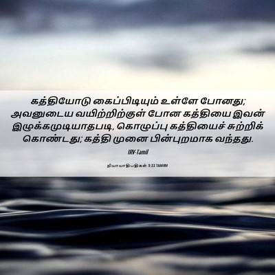 Picture 06 - நியாயாதிபதிகள் 3:22 TAMIRV - கத்தியோடு - Bible Verse Picture