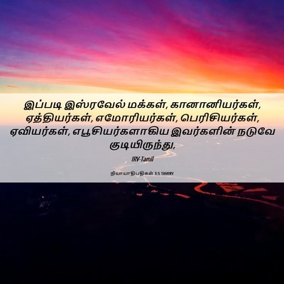 Picture 06 - நியாயாதிபதிகள் 3:5 TAMIRV - இப்படி இஸ்ரவேல் - Bible Verse Picture