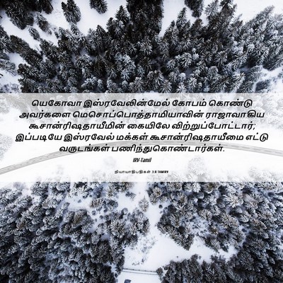 Picture 06 - நியாயாதிபதிகள் 3:8 TAMIRV - யெகோவா - Bible Verse Picture