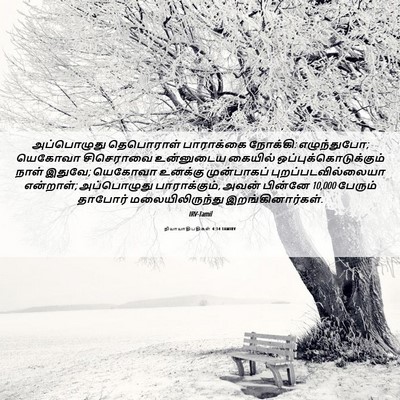 Picture 06 - நியாயாதிபதிகள் 4:14 TAMIRV - அப்பொழுது - Bible Verse Picture