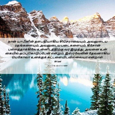 Picture 06 - நியாயாதிபதிகள் 4:7 TAMIRV - நான் யாபீனின் - Bible Verse Picture