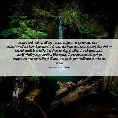 Picture 06 - நியாயாதிபதிகள் 5:14 TAMIRV - அமலேக்குக்கு - Bible Verse Picture